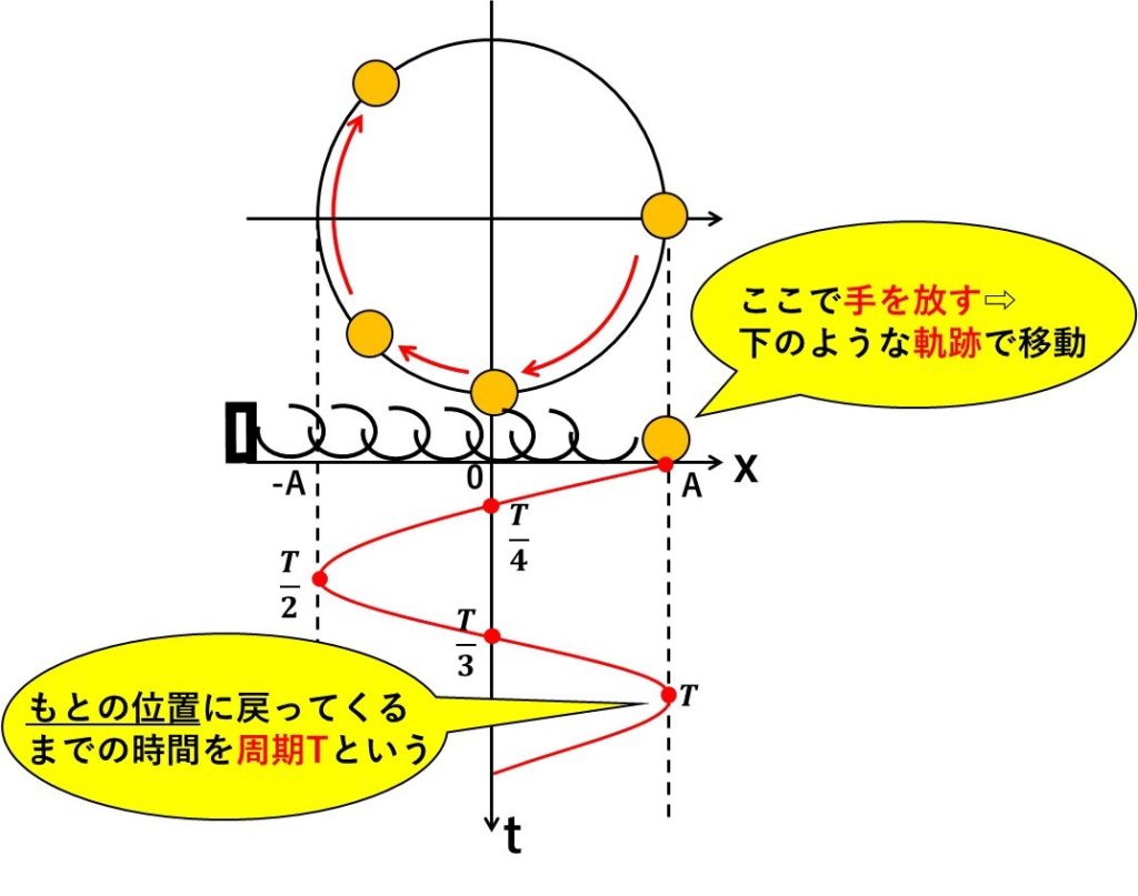 【裏技】軌跡図で単振動の問題を楽に解く方法【結論：差が付きます】